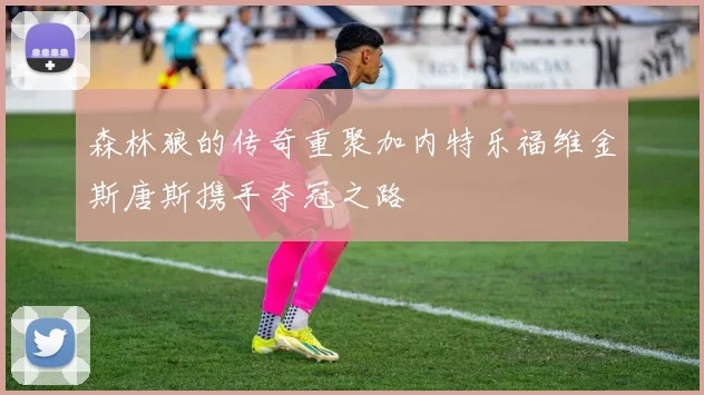 森林狼的传奇重聚加内特乐福维金斯唐斯携手夺冠之路