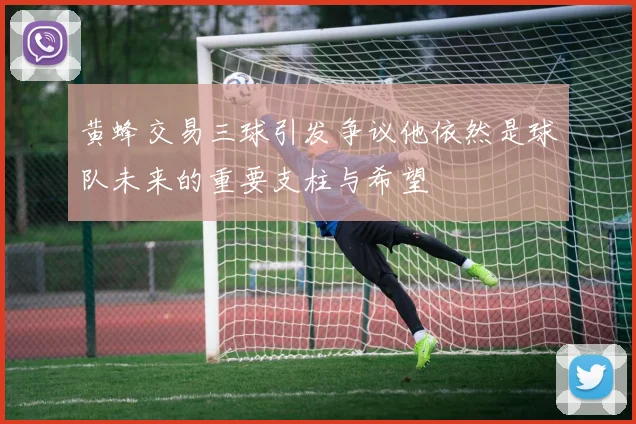 黄蜂交易三球引发争议他依然是球队未来的重要支柱与希望