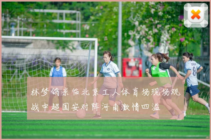 林梦鸽亲临北京工人体育场现场观战中超国安对阵河南激情四溢